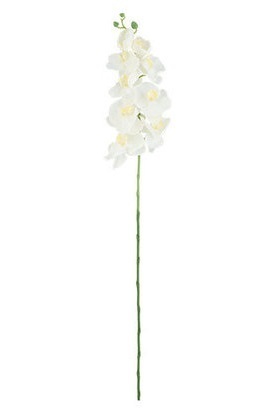 Orchidea Stelo Bianco 100 cm