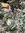 Albero di Natale Stelvio Innevato Slim 210 cm