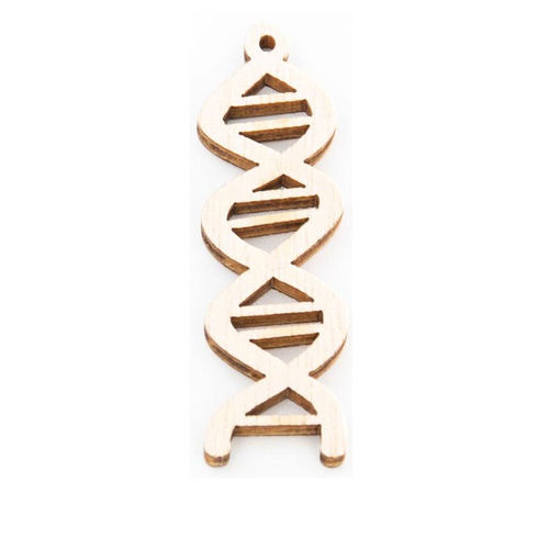 Applique Laurea DNA in legno h 5 cm conf da 24 pz