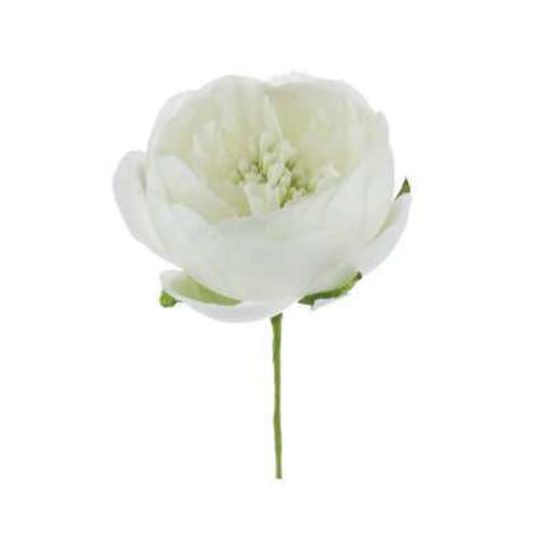 Fiore Ranuncolo aperto Bianco 12 pz