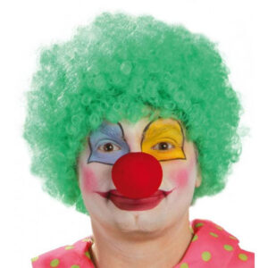 Parrucca Riccia da Clown Verde