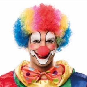 Parrucca Riccia da Clown Multicolore